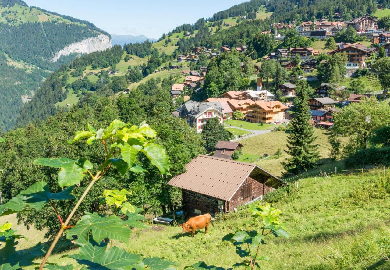 Panoramapark Soleil Chalet E ヴェンゲン エクステリア 写真